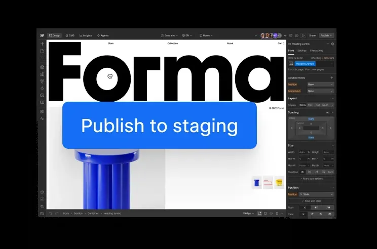 Webflow image 4